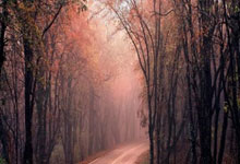 武汉个别化向导服务怎么样？私人伴游价格受哪些因素影响？