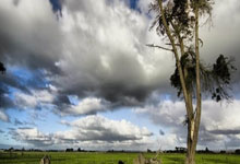 广州足浴指南：店铺分布、特色服务与消费群体全解析