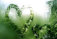 武汉个别化向导服务怎么样？私人伴游价格受哪些因素影响？