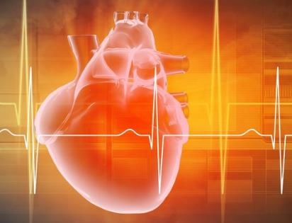 探索心脏健康之道：从日常保养到压力缓解，让心脏更强健