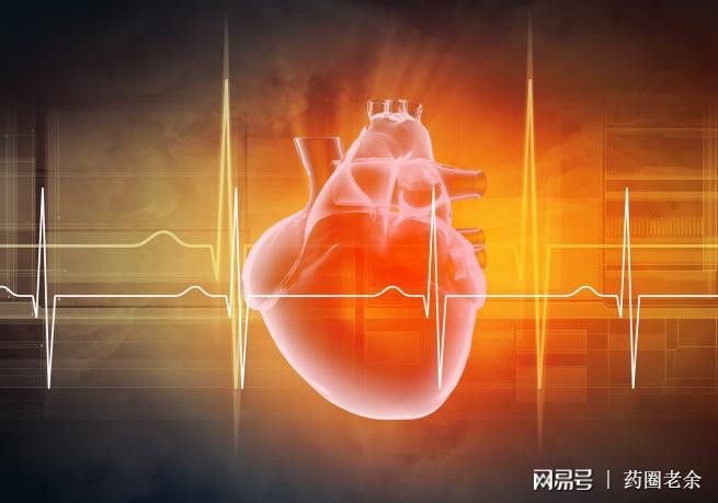 保护心脏的养生_心脏的养生保健方法_养生心脏保健