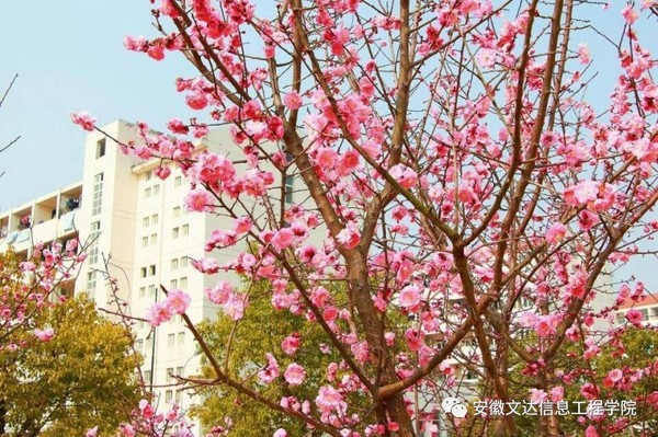 广州按摩价位指南_广州按摩指南_广州市推拿按摩网