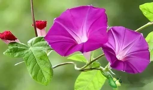 广州桑拿多少钱啊价格合适吗_广州有什么桑拿_广州哪里可以桑拿