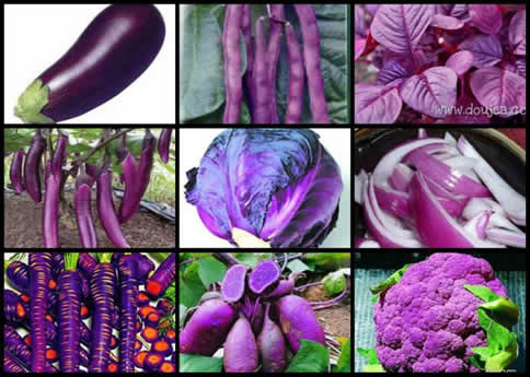 冷热水交替养生疗法：古老而有效的健康秘诀