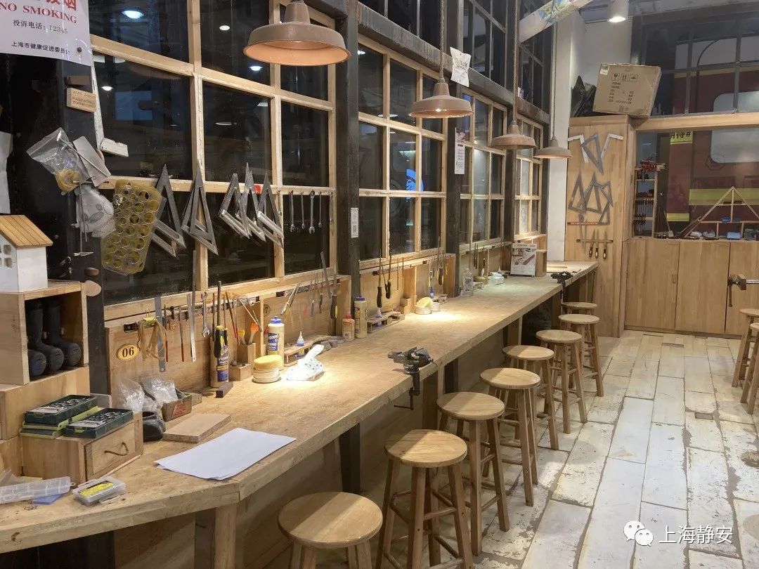 在快节奏城市生活中，室内植物如何成为无声的健康护卫？