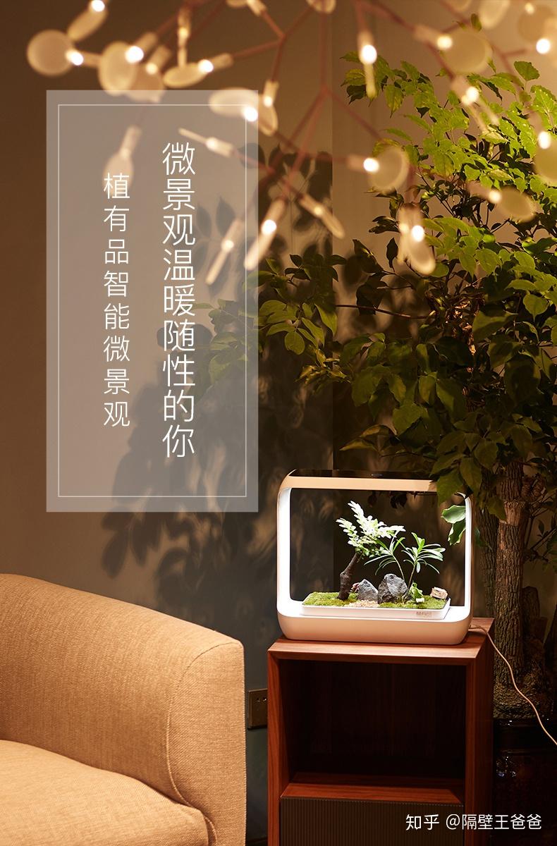 养生室内植物_50种室内植物养护大全_室内养植物