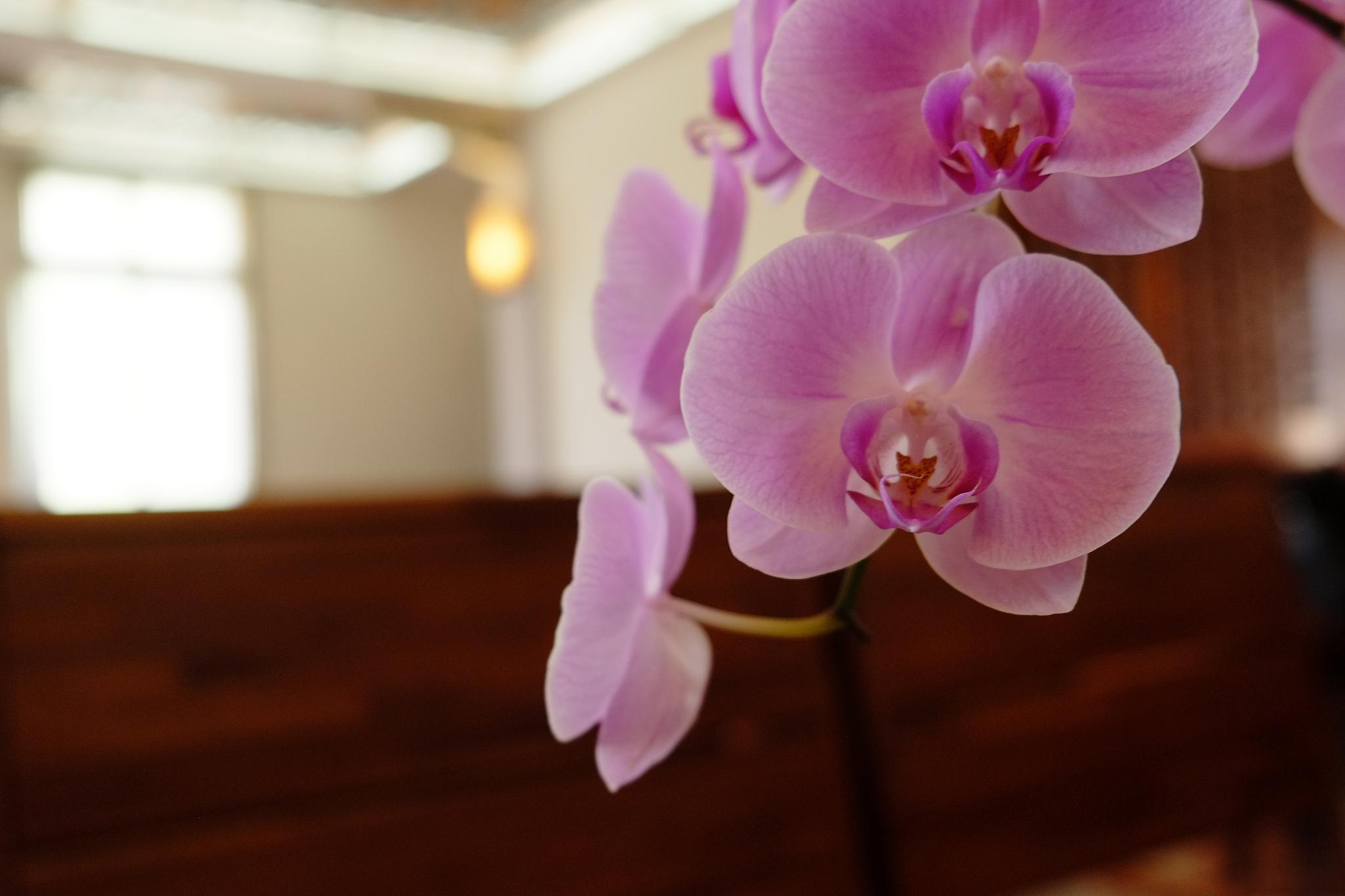 广州足浴哪里好_广州足浴品牌_广州足浴好做吗工资高吗