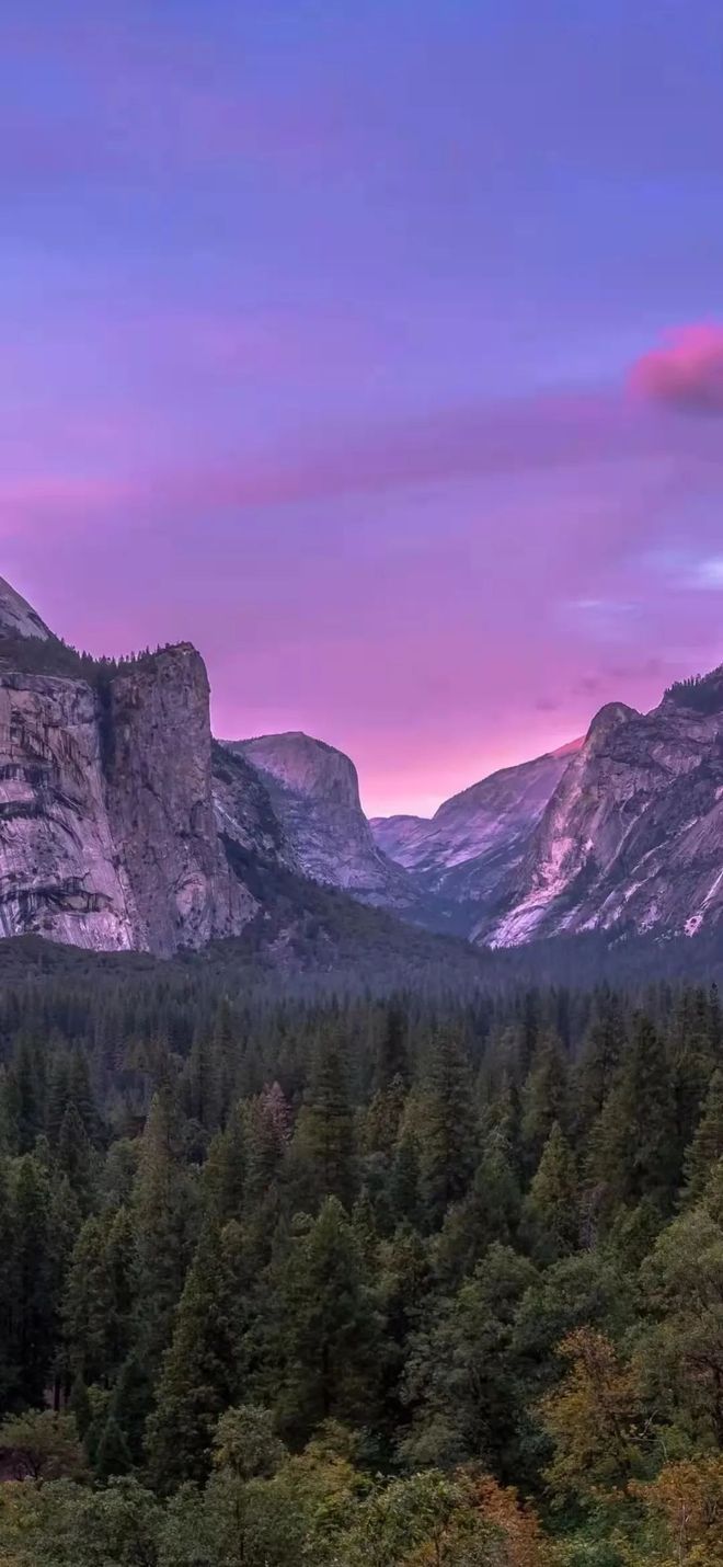 保健养生健身操_保健养生知识_养生保健