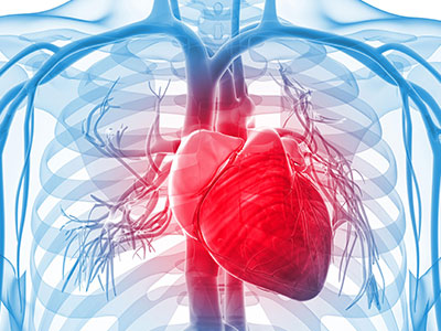 中医养生：全面实用的健康指导方案，助您提升生命质量