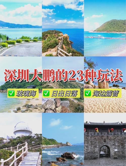 深圳游玩结识朋友：邂逅鹏城，开启愉快旅程与珍贵友情