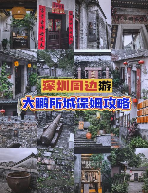 深圳交友活动公众号_深圳旅行交友体验_深圳交友活动平台