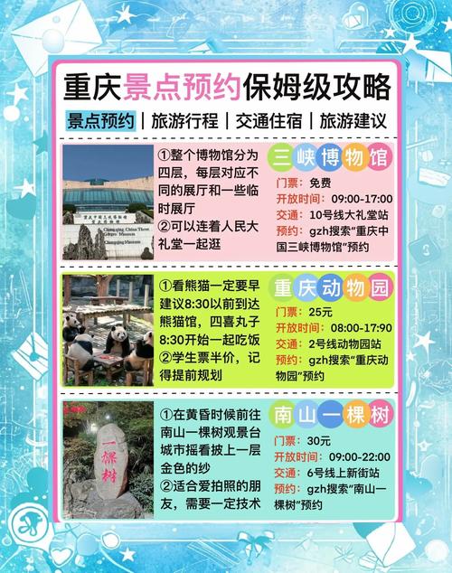 重庆私人导游服务：领略历史文化，打造难忘旅程