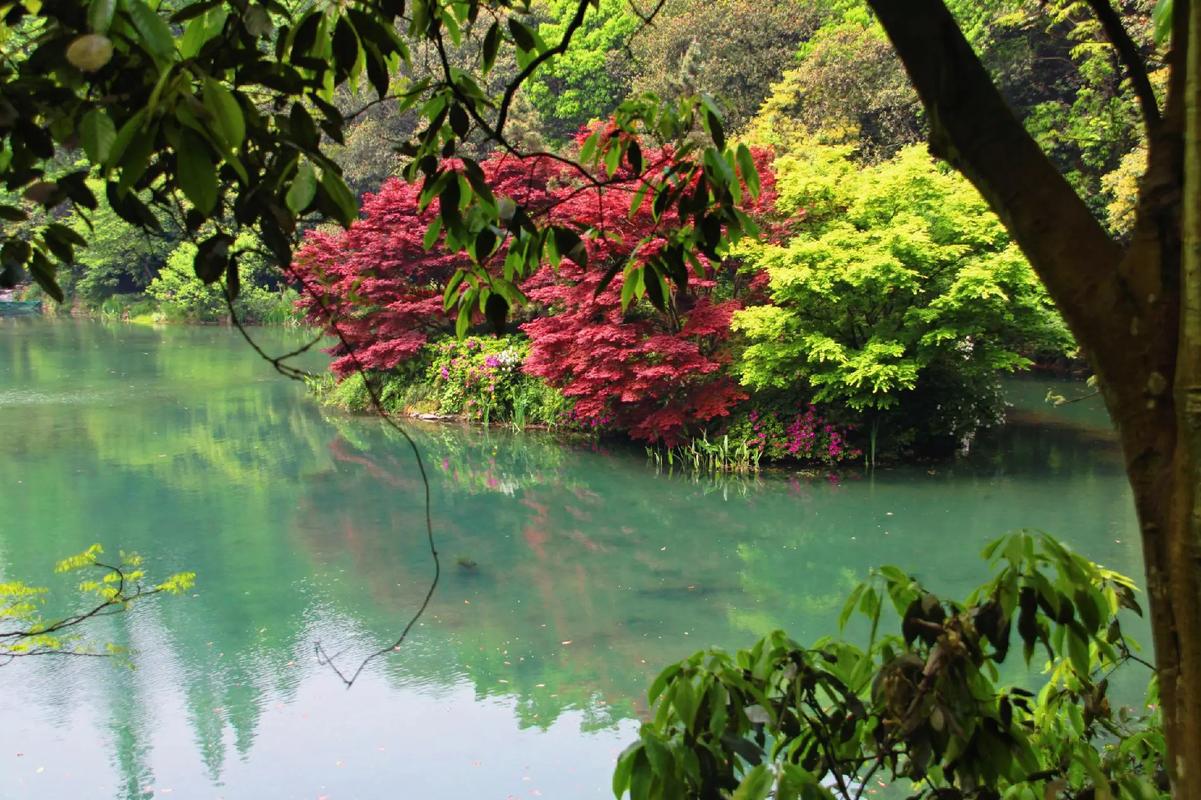 杭州哪里有好的旅行交友_交友旅游的景点_杭州交友角