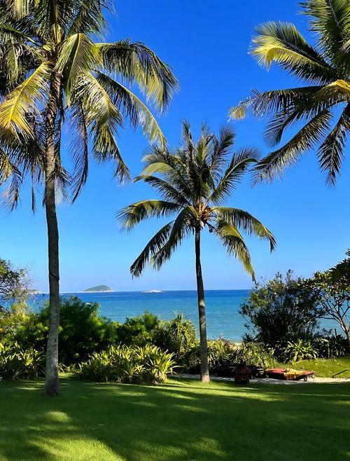 三亚交友旅行推荐网站_三亚旅行交友推荐_三亚交友用什么软件