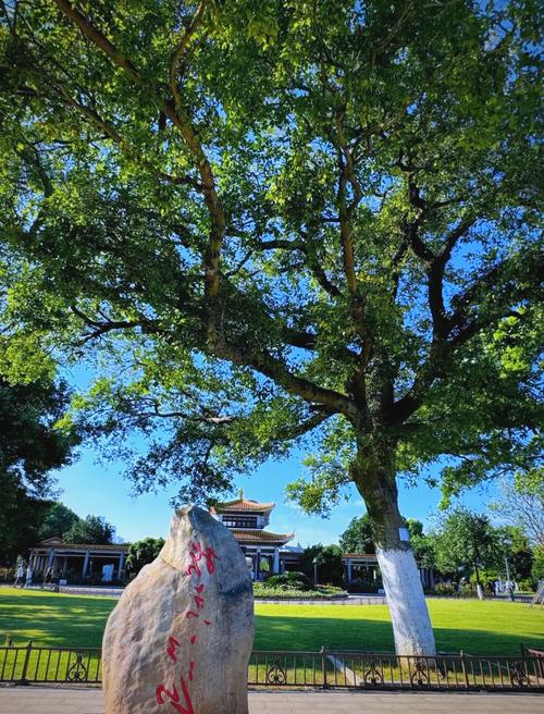 长沙魅力之城：橘子洲头既能游玩又能结交新朋友的好去处