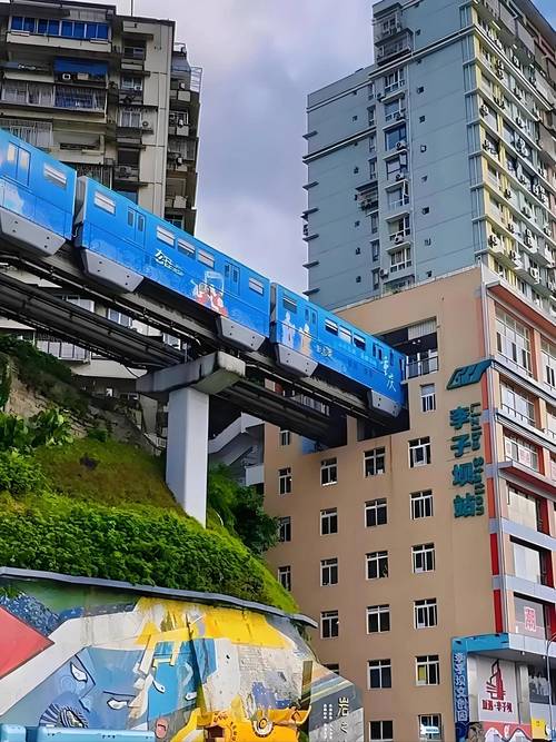 杭州私人伴游服务大揭秘！让你的旅程轻松又愉快？