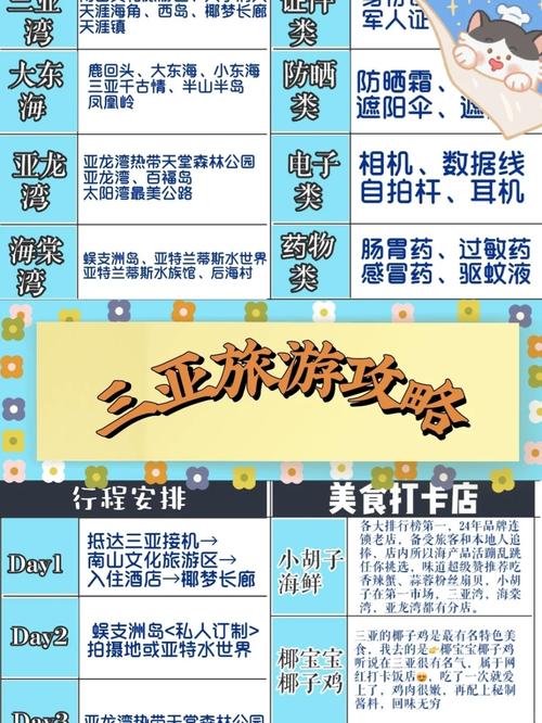 三亚商务陪同与旅游向导服务：提升商务活动成效与拓展商业关系