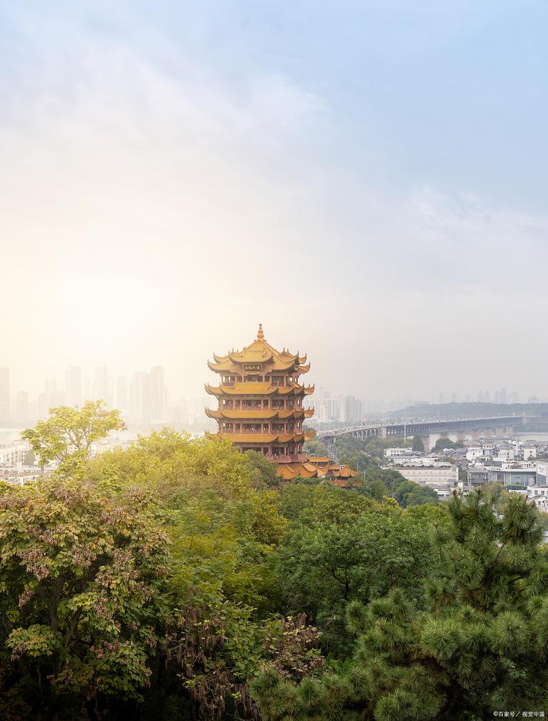 武汉私人伴游推荐：历史文化向导带你深度体验黄鹤楼与辛亥革命