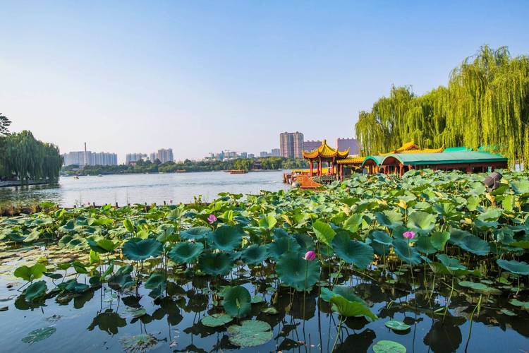 济南旅行好去处：大明湖景区，邂逅新友，共赏湖光美食